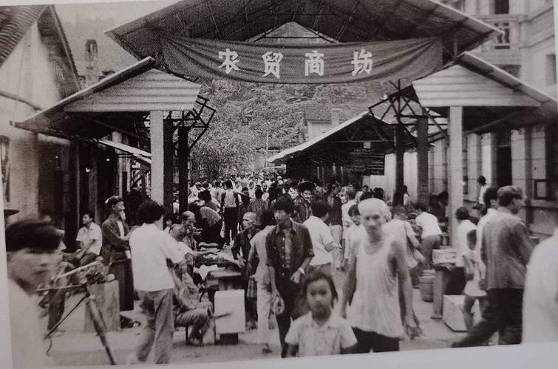松庆商贸